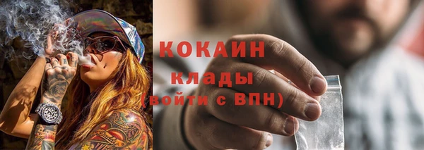ГАЛЛЮЦИНОГЕННЫЕ ГРИБЫ Белоозёрский