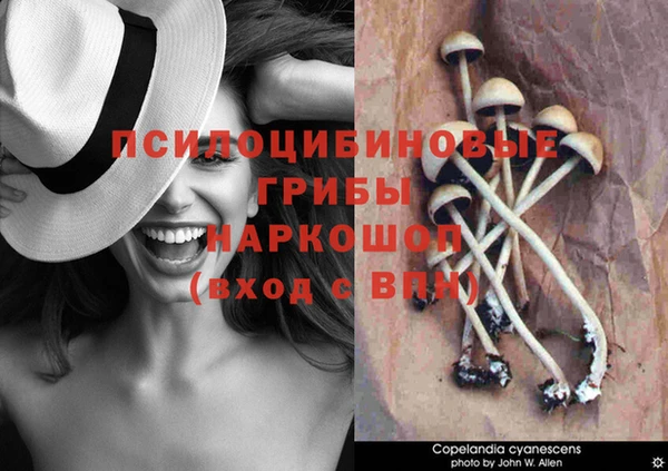 прущая мука Белокуриха