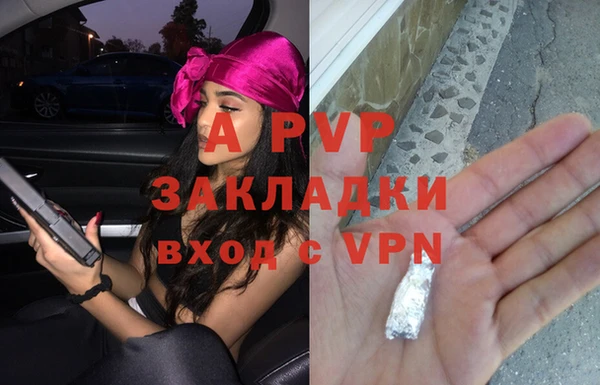 ГАЛЛЮЦИНОГЕННЫЕ ГРИБЫ Белоозёрский